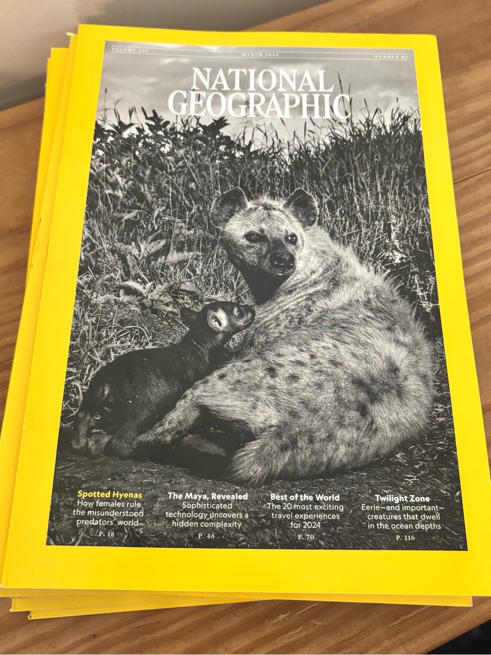 💥 2024 National Geographic Set: March, April, May, June, July, August, October